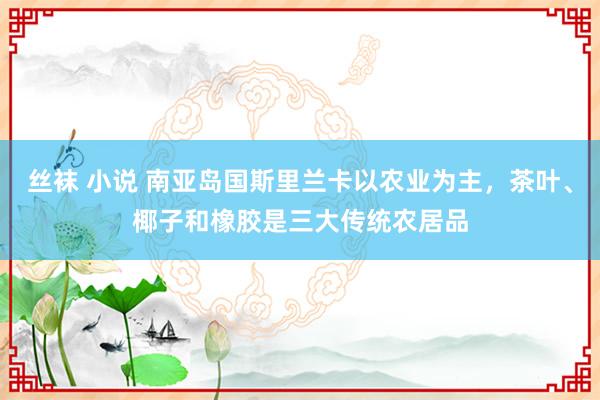 丝袜 小说 南亚岛国斯里兰卡以农业为主，茶叶、椰子和橡胶是三大传统农居品