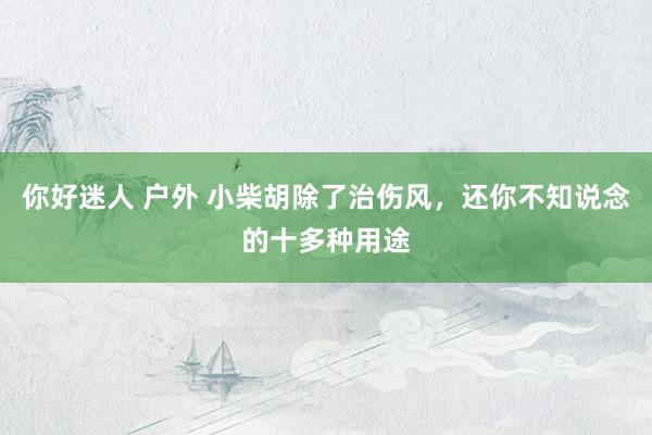 你好迷人 户外 小柴胡除了治伤风，还你不知说念的十多种用途
