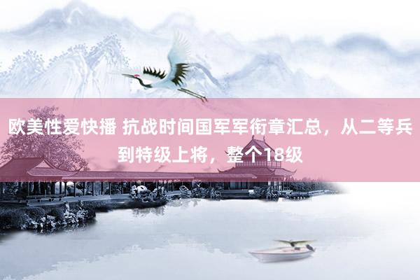 欧美性爱快播 抗战时间国军军衔章汇总，从二等兵到特级上将，整个18级