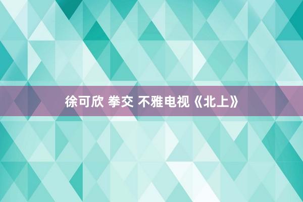 徐可欣 拳交 不雅电视《北上》