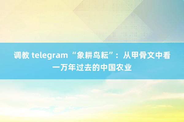 调教 telegram “象耕鸟耘”：从甲骨文中看一万年过去的中国农业