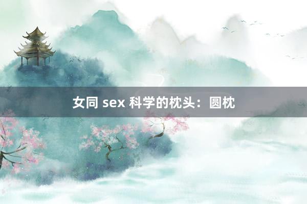 女同 sex 科学的枕头：圆枕