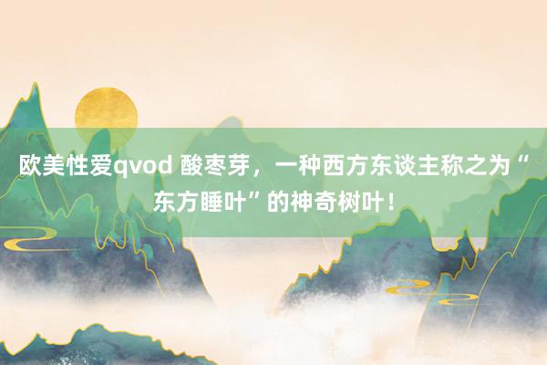 欧美性爱qvod 酸枣芽，一种西方东谈主称之为“东方睡叶”的神奇树叶！