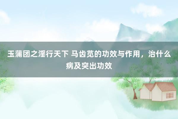 玉蒲团之淫行天下 马齿苋的功效与作用，治什么病及突出功效