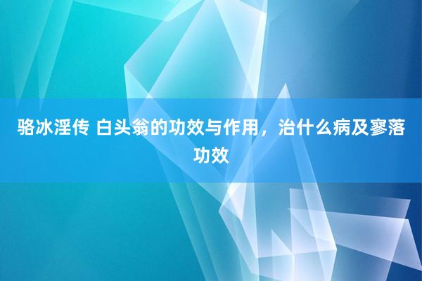 骆冰淫传 白头翁的功效与作用，治什么病及寥落功效