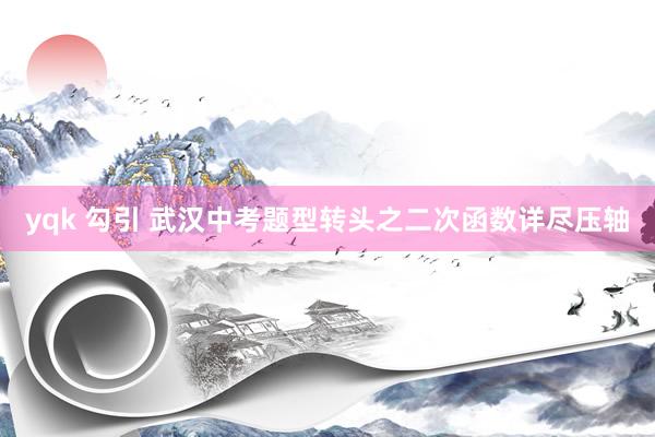 yqk 勾引 武汉中考题型转头之二次函数详尽压轴